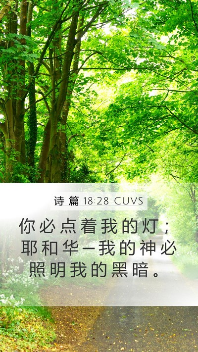 诗 篇 18:28 CUVS Bible Verse Image