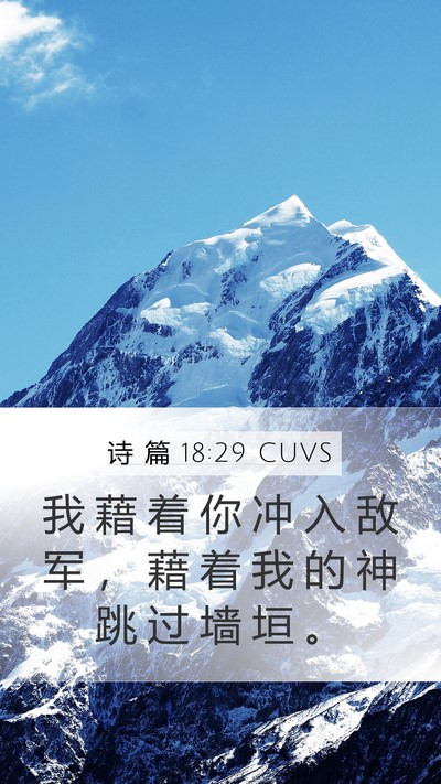 诗 篇 18:29 CUVS Bible Verse Image