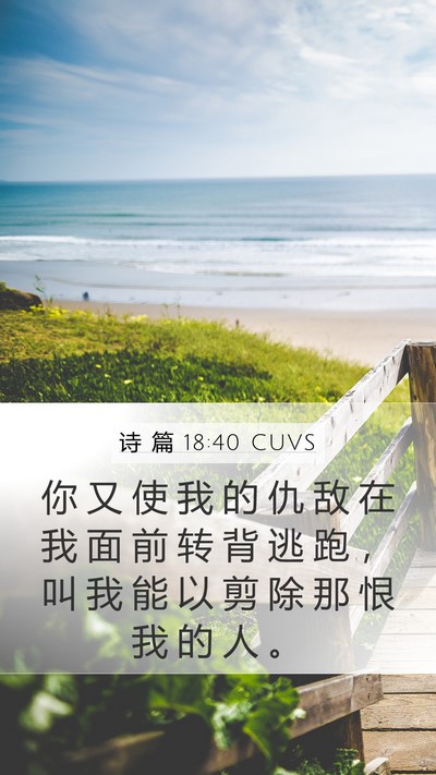诗 篇 18:40 CUVS Bible Verse Image