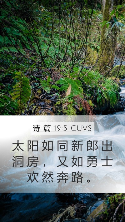 诗 篇 19:5 CUVS Bible Verse Image