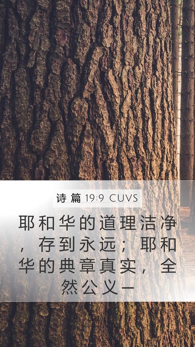 诗 篇 19:9 CUVS Mobile Phone Wallpaper - 耶 和 华 的 道 理 洁 净 ， 存 到 永 - Mobile Bible Verse Wallpaper