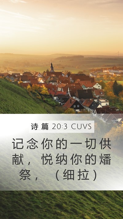 诗 篇 20:3 CUVS Bible Verse Image