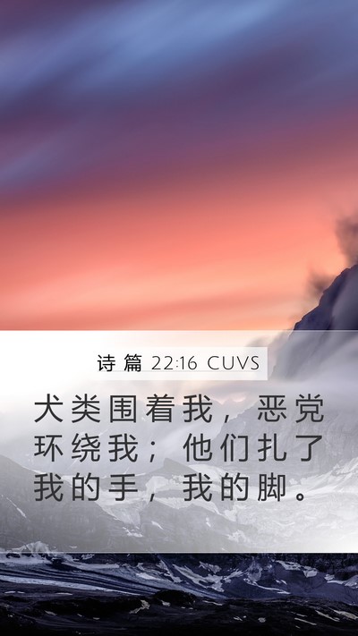 诗 篇 22:16 CUVS Bible Verse Image