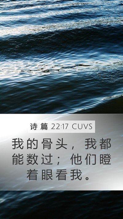 诗 篇 22:17 CUVS Mobile Phone Wallpaper - 我 的 骨 头 ， 我 都 能 数 过 ； 他 - Mobile Bible Verse Wallpaper
