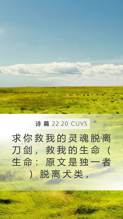 诗 篇 22:20 CUVS Mobile Phone Wallpaper - 求 你 救 我 的 灵 魂 脱 离 刀 剑 ， - Mobile Bible Verse Wallpaper