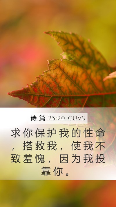 诗 篇 25:20 CUVS Bible Verse Image