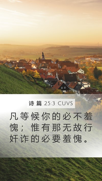 诗 篇 25:3 CUVS Bible Verse Image
