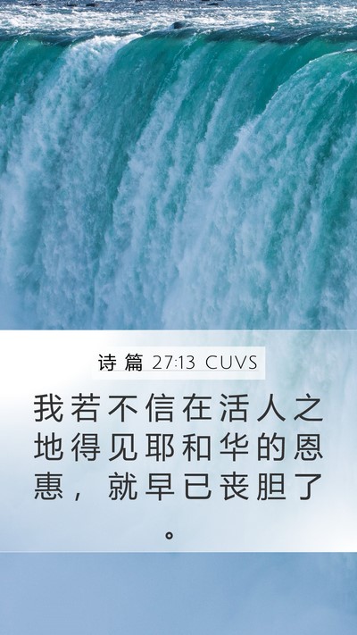 诗 篇 27:13 CUVS Bible Verse Image