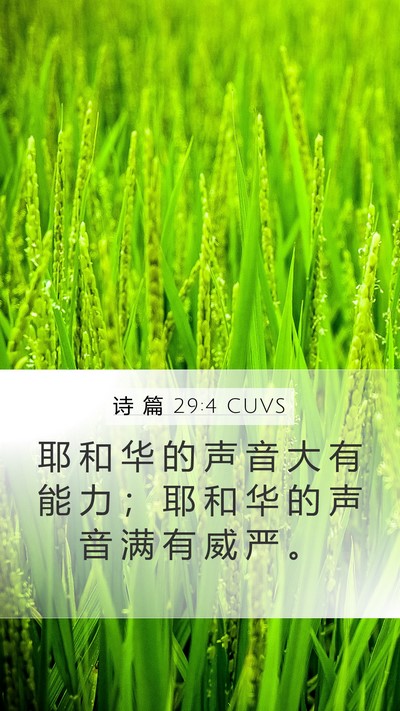 诗 篇 29:4 CUVS Bible Verse Image