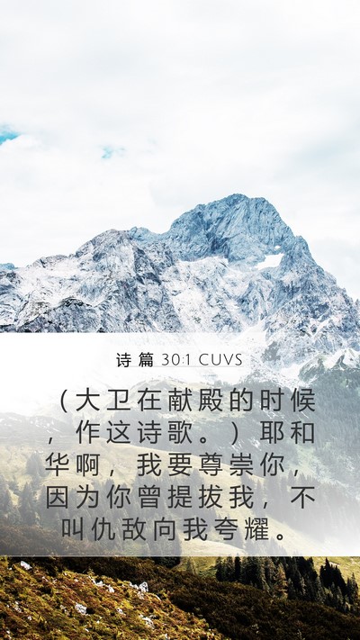 诗 篇 30:1 CUVS Bible Verse Image