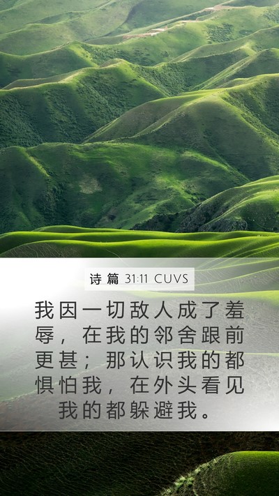 诗 篇 31:11 CUVS Bible Verse Image
