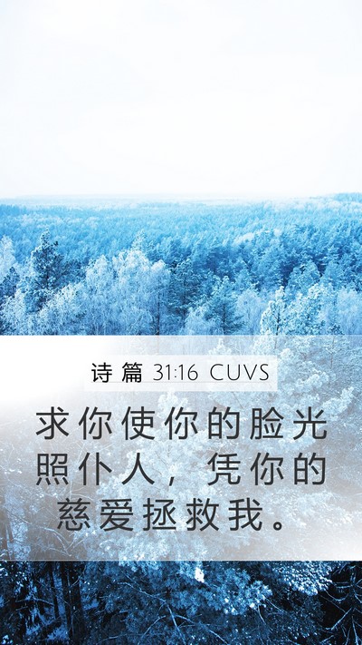 诗 篇 31:16 CUVS Bible Verse Image