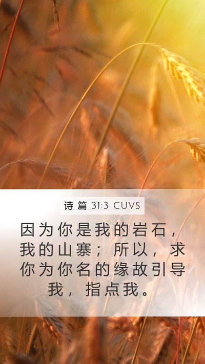 诗 篇 31:3 CUVS Bible Verse Image