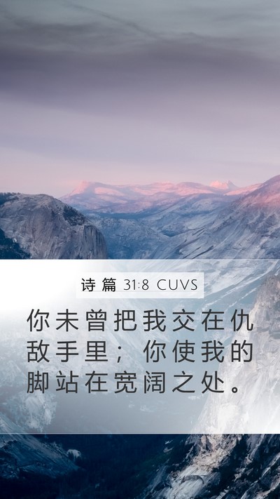 诗 篇 31:8 CUVS Bible Verse Image