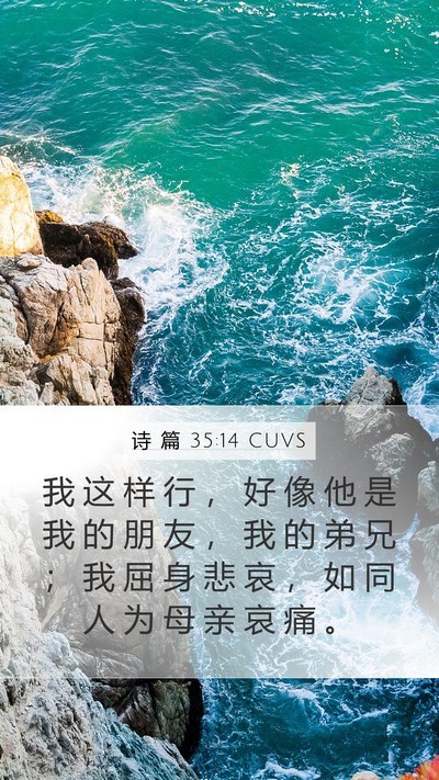 诗 篇 35:14 CUVS Bible Verse Image