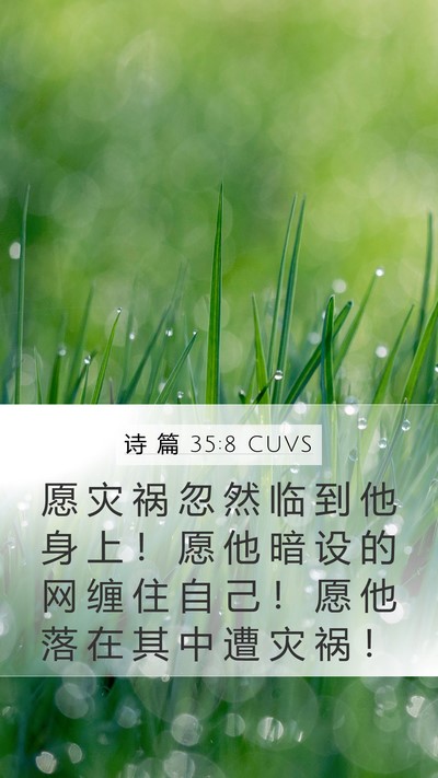诗 篇 35:8 CUVS Bible Verse Image
