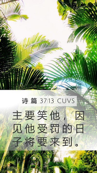 诗 篇 37:13 CUVS Bible Verse Image