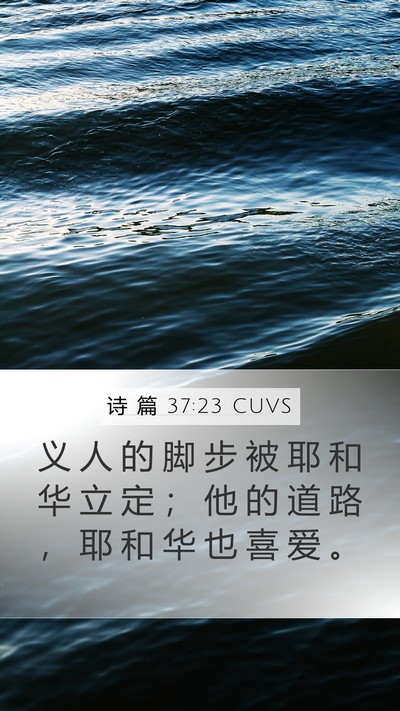 诗 篇 37:23 CUVS Bible Verse Image