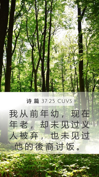 诗 篇 37:25 CUVS Bible Verse Image