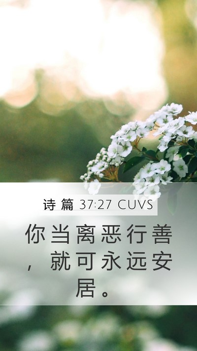 诗 篇 37:27 CUVS Bible Verse Image