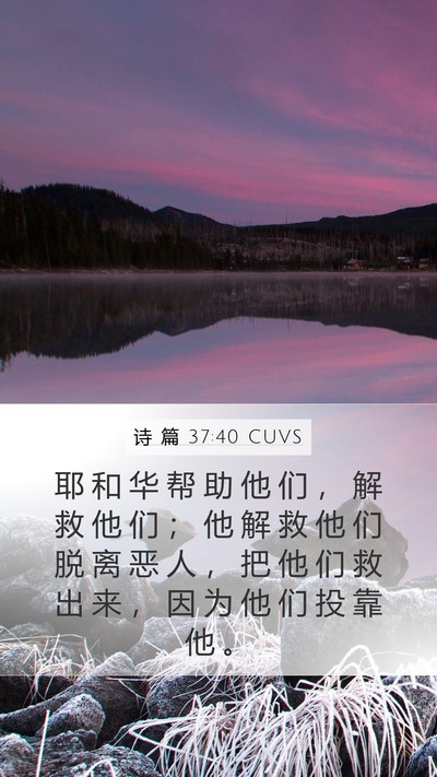 诗 篇 37:40 CUVS Mobile Phone Wallpaper - 耶 和 华 帮 助 他 们 ， 解 救 他 们 - Mobile Bible Verse Wallpaper