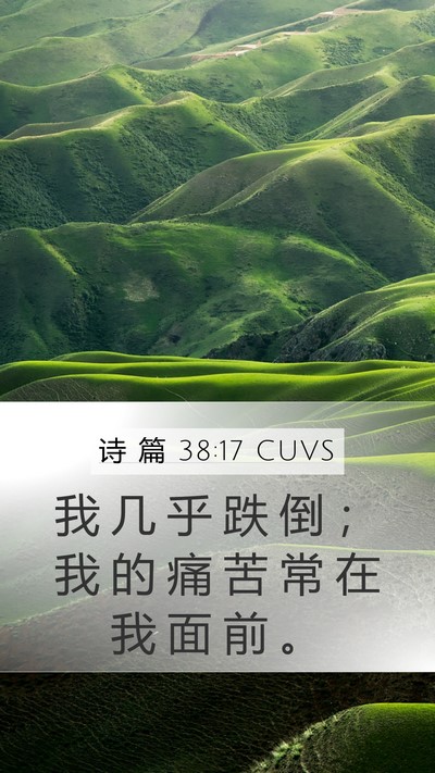 诗 篇 38:17 CUVS Bible Verse Image