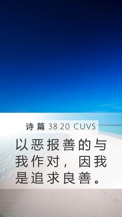 诗 篇 38:20 CUVS Bible Verse Image