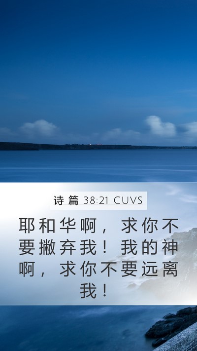 诗 篇 38:21 CUVS Bible Verse Image