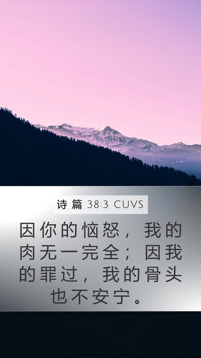 诗 篇 38:3 CUVS Bible Verse Image