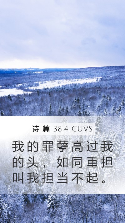 诗 篇 38:4 CUVS Bible Verse Image