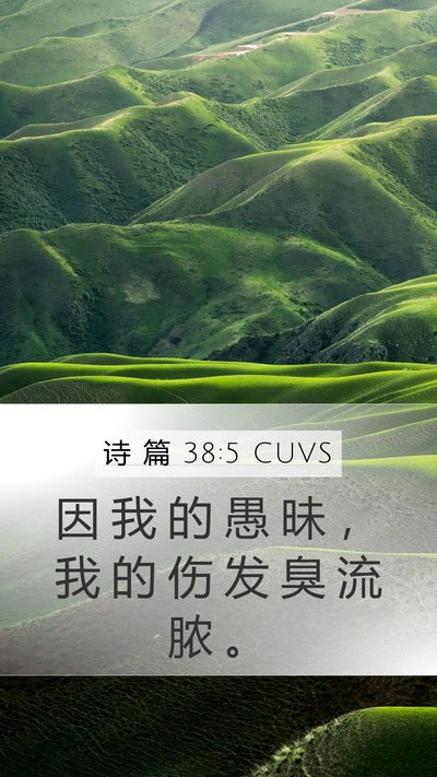 诗 篇 38:5 CUVS Bible Verse Image