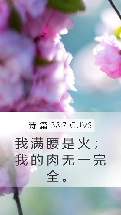 诗 篇 38:7 CUVS Bible Verse Image