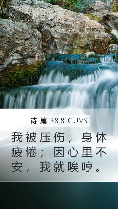 诗 篇 38:8 CUVS Bible Verse Image