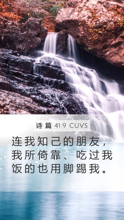 诗 篇 41:9 CUVS Bible Verse Image