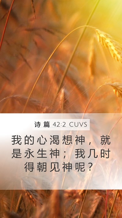 诗 篇 42:2 CUVS Bible Verse Image