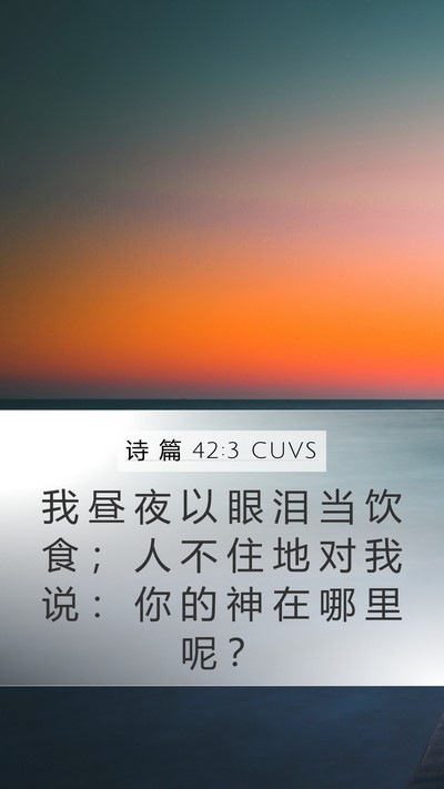 诗 篇 42:3 CUVS Bible Verse Image