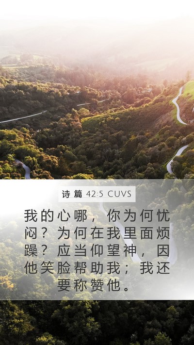 诗 篇 42:5 CUVS Bible Verse Image