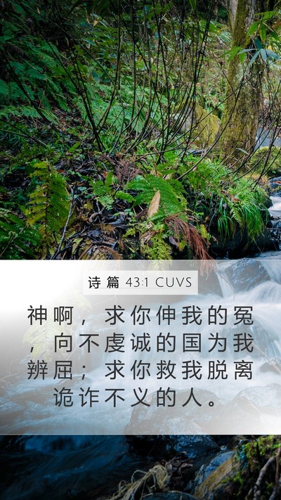 诗 篇 43:1 CUVS Bible Verse Image
