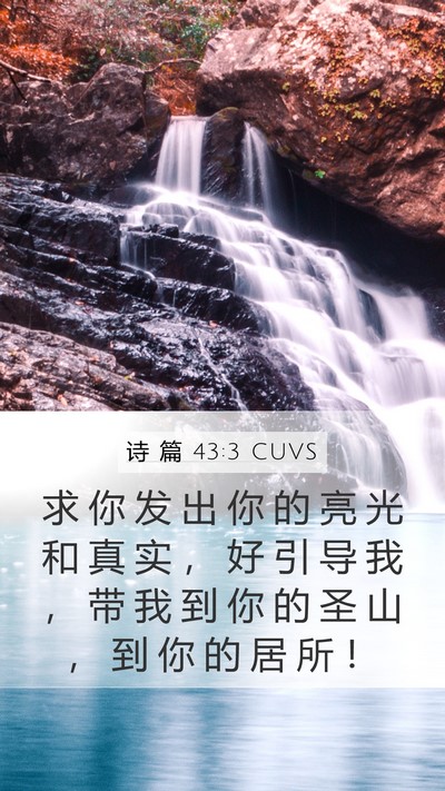 诗 篇 43:3 CUVS Bible Verse Image