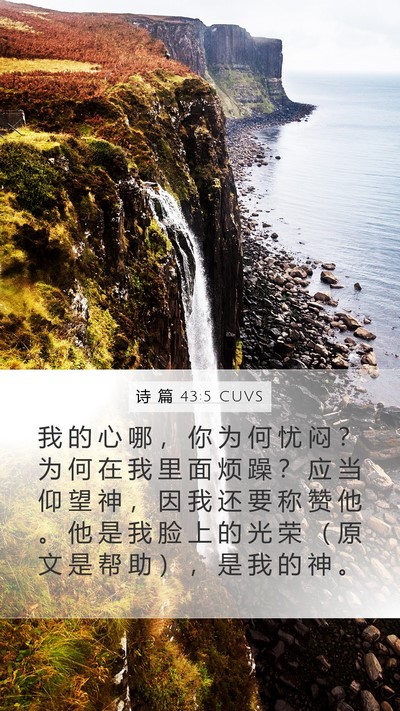 诗 篇 43:5 CUVS Bible Verse Image