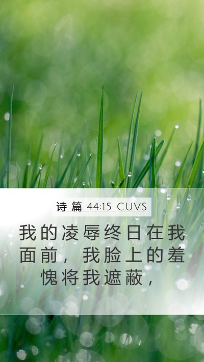 诗 篇 44:15 CUVS Mobile Phone Wallpaper - 我 的 凌 辱 终 日 在 我 面 前 ， 我 - Mobile Bible Verse Wallpaper