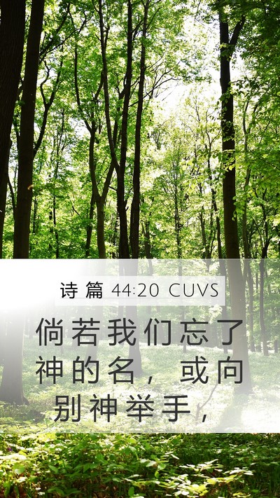 诗 篇 44:20 CUVS Bible Verse Image