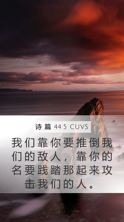 诗 篇 44:5 CUVS Bible Verse Image