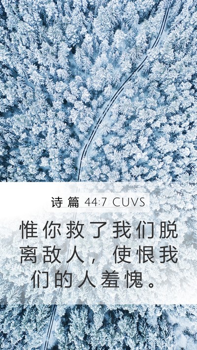 诗 篇 44:7 CUVS Mobile Phone Wallpaper - 惟 你 救 了 我 们 脱 离 敌 人 ， 使 - Mobile Bible Verse Wallpaper
