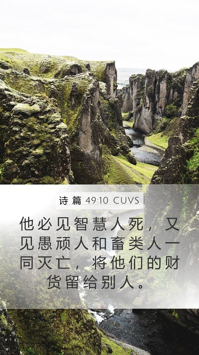 诗 篇 49:10 CUVS Bible Verse Image