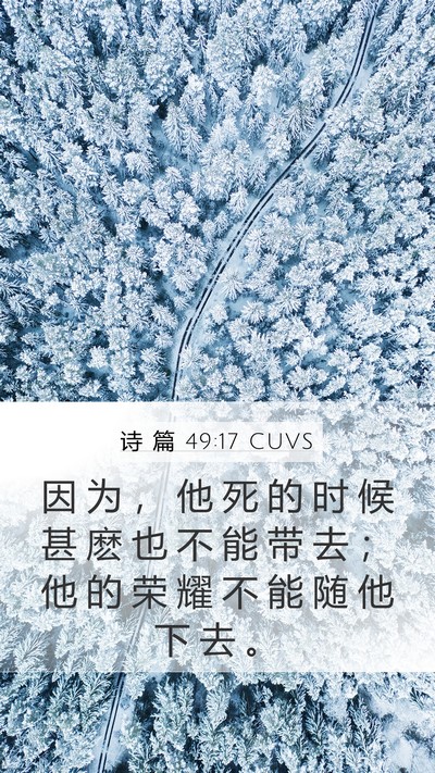 诗 篇 49:17 CUVS Bible Verse Image