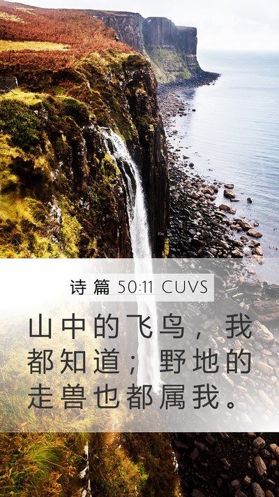 诗 篇 50:11 CUVS Bible Verse Image