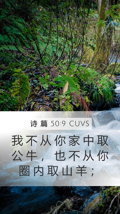 诗 篇 50:9 CUVS Mobile Phone Wallpaper - 我 不 从 你 家 中 取 公 牛 ， 也 不 - Mobile Bible Verse Wallpaper