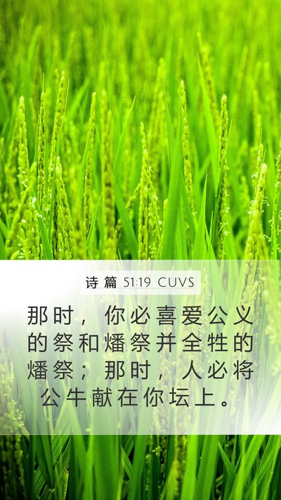 诗 篇 51:19 CUVS Bible Verse Image