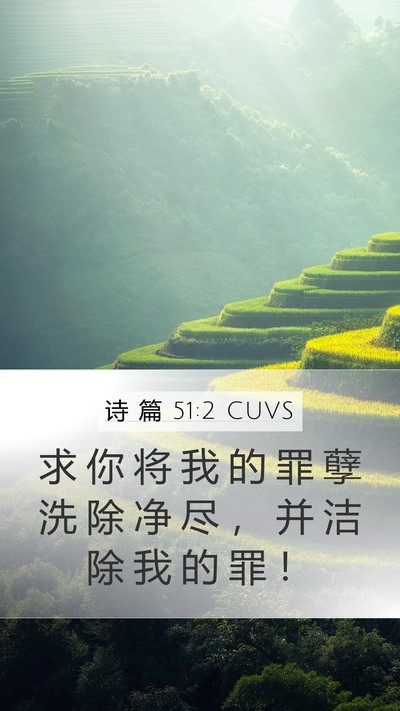 诗 篇 51:2 CUVS Bible Verse Image